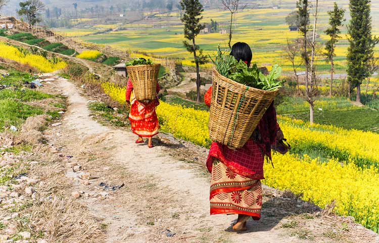 village-life-in-nepal-1.jpg